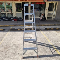 Rhino DDP06-150 Dual Purpose Ladder 1.8m-3.3m 150kg Industrial Grade