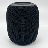 EFM EFASPEU933BLA Bluetooth Speaker Wireless Portable USB-C Black