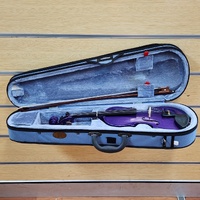 Stentor Harlequin 1/2 Size Violin Outfit Purple with Case and Bow