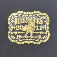 Professional Bull Riders 2011 Fan Club Pin PBR Trade Mark Lapel Hat 