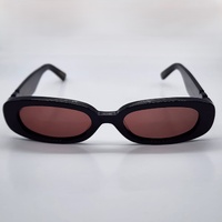 Wyld Blue x Pared Hazed Sunglasses Black Gold Frame Tinted Lens PE2305B