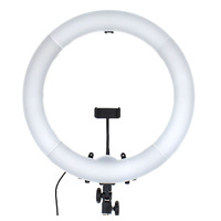 Hakutatz 19" 48cm Dimmable LED Ring Light with Tripod for Tattoo Artists