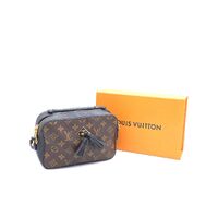 Louis Vuitton Monogram Canvas Saintonge Crossbody Bag (Pre-owned)