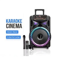 Bluetooth Karaoke Party Speaker 12 inch on wheels + Mic USB TF card Remote Control NEW