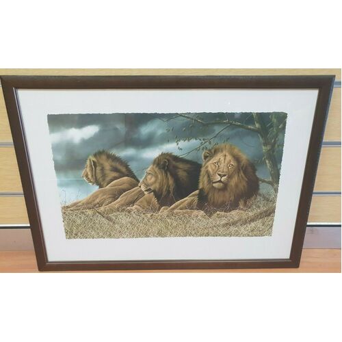 Andrew Bone Triple Trouble Collectable Framed Art Work With Certificate