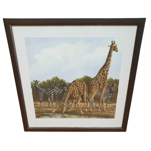 Andrew Bone Receding Waters Collectable Framed Art Work With Certificate