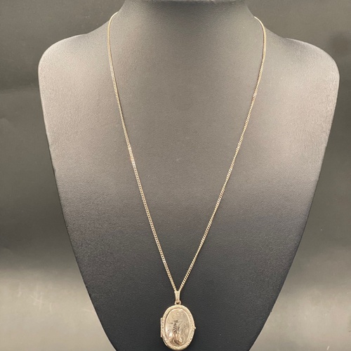 Ladies 9ct Rose Gold Curb Link Necklace & Oval Locket Pendant