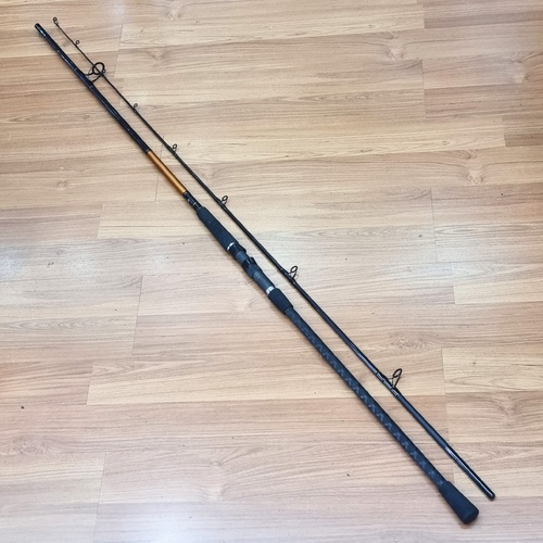 Daiwa Sensor Sandstorm 1002M 2 Piece Surf Spinning Fishing Rod