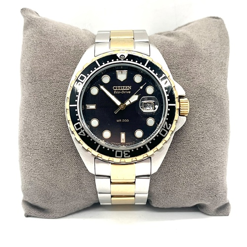 Citizen Eco Drive E110 S000149 Mens Diver 200M Stainless Steel Two Tone Watch