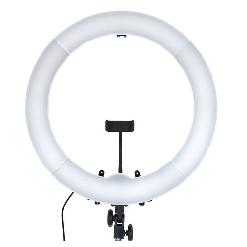 Hakutatz 19" 48cm Dimmable LED Ring Light with Tripod for Tattoo Artists
