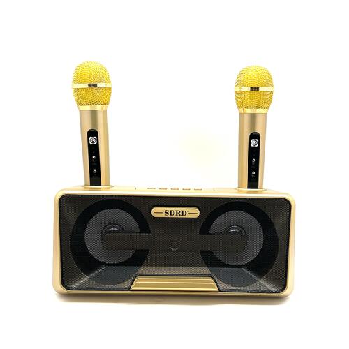 NEW SD301 Karaoke Bluetooth Speaker Dual Wireless Microphone Portable Speaker System